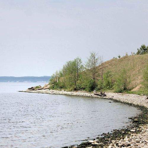 Photo #6241428