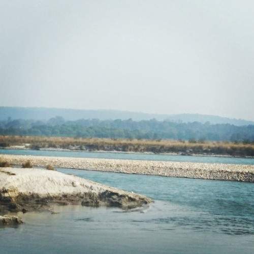 Photo #6241435