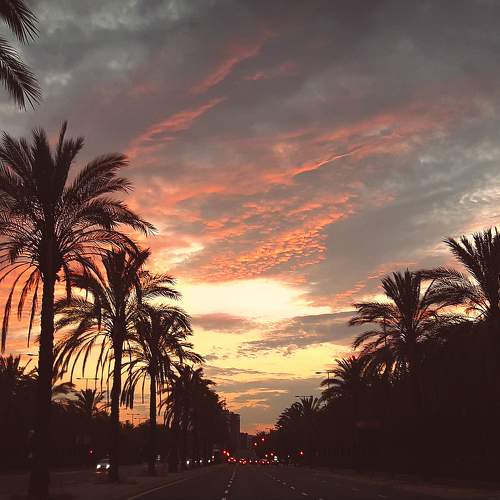 Photo #6241806