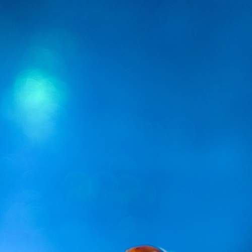 Photo #6241931