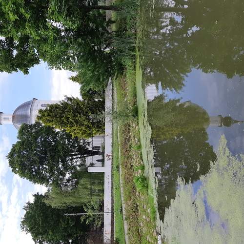 Photo #6242261