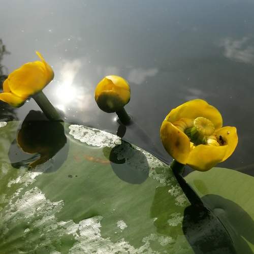 Photo #6242427