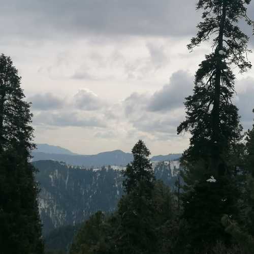 Photo #6242606