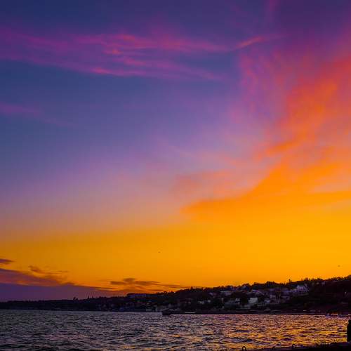 Photo #6242613