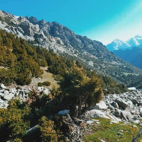 Photo #6242745