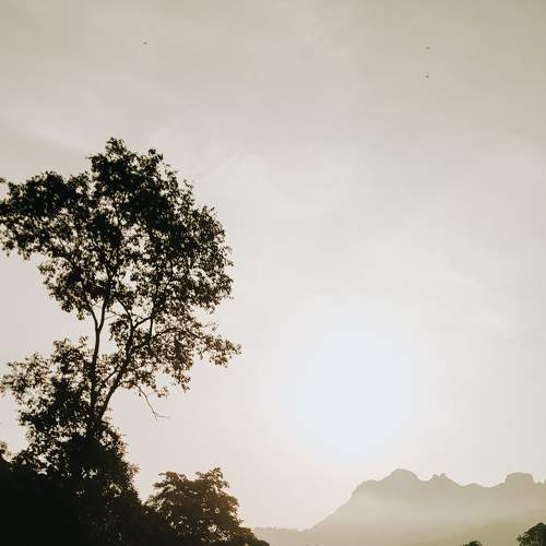 Photo #6242790