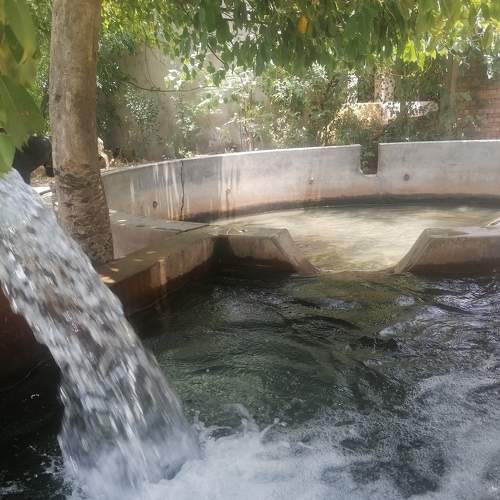 Photo #6242795