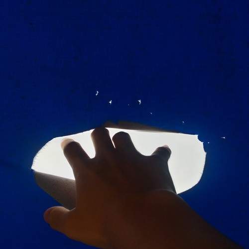 Photo #6242810
