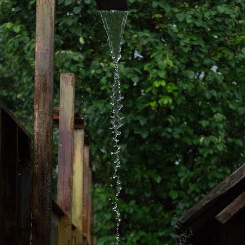 Photo #6242968