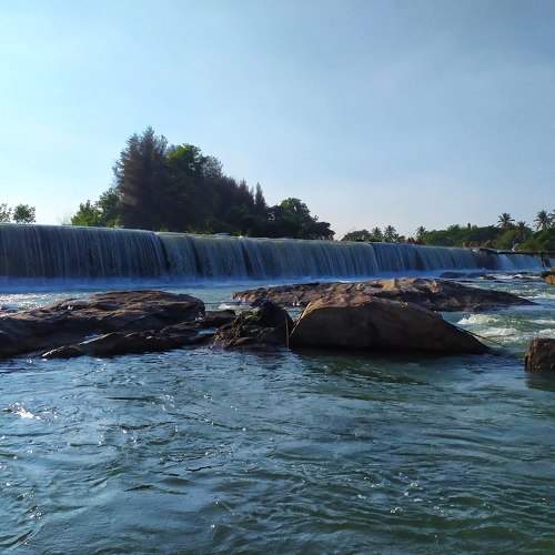 Photo #6243272