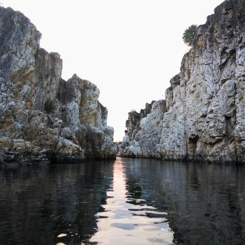 Photo #6243278