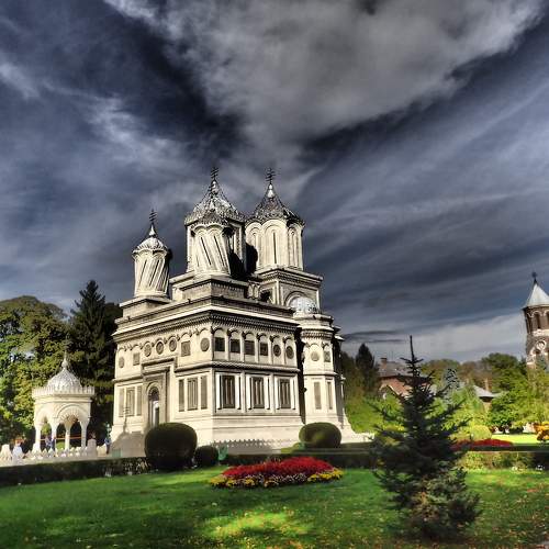 Photo #6243311