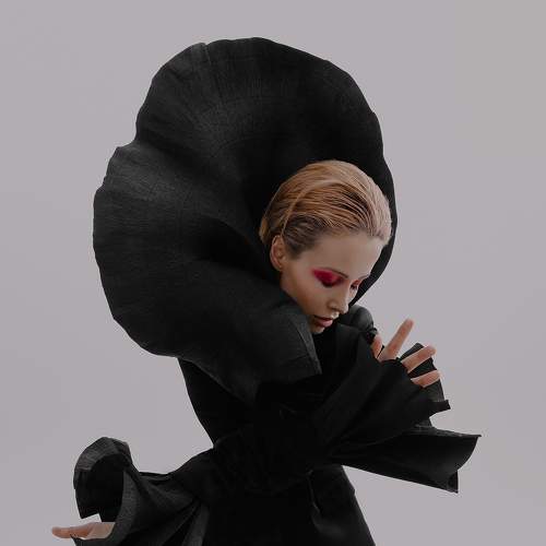 Photo #6243463