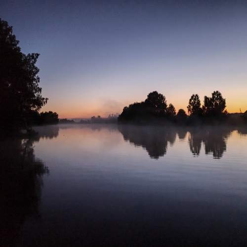 Photo #6243474