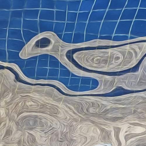 Shadows in the pool  (Sombras na piscina)