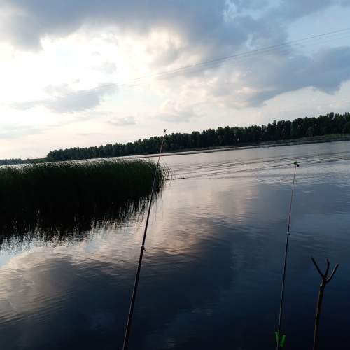 Photo #6244003