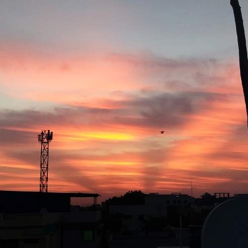 Photo #6244351