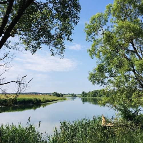 Photo #6244519