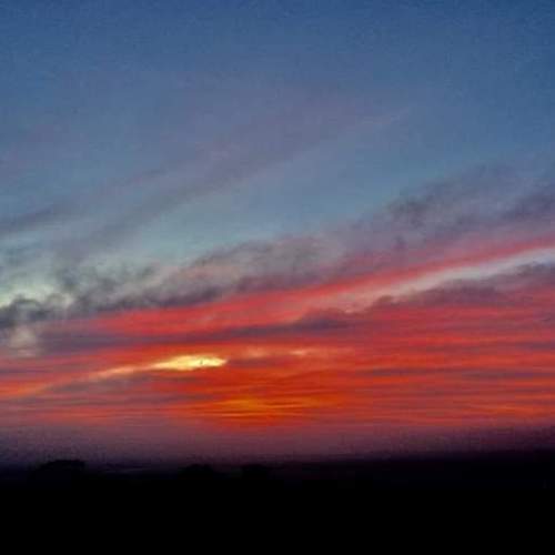 Photo #6244529