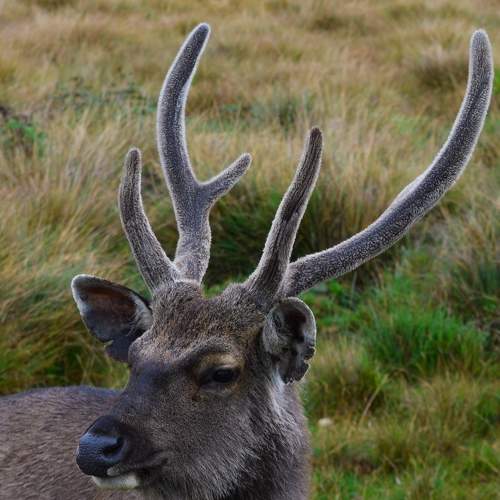 Photo #6244580