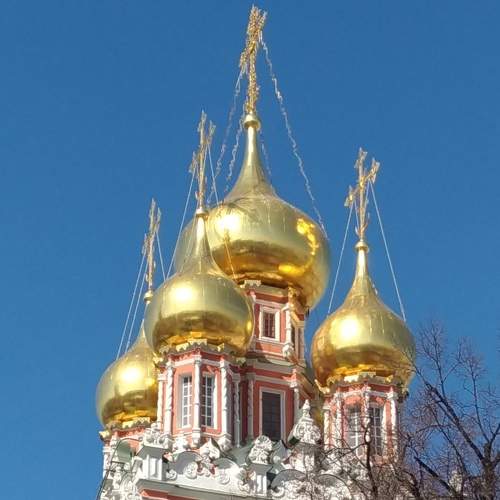Photo #6244661