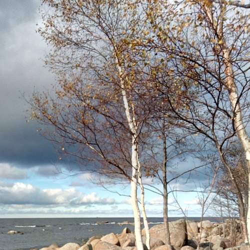 Photo #6244676