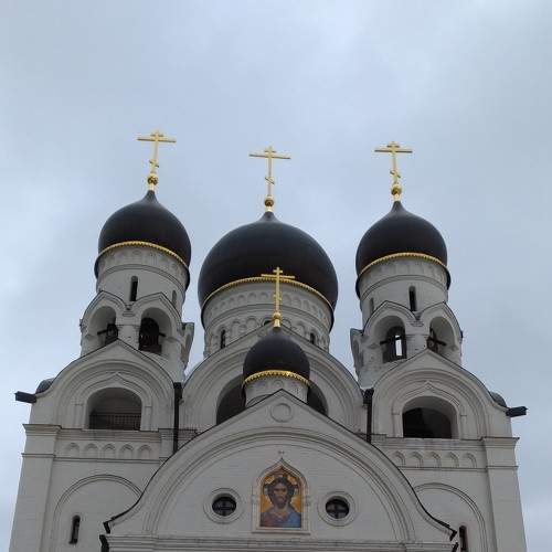 Photo #6244707