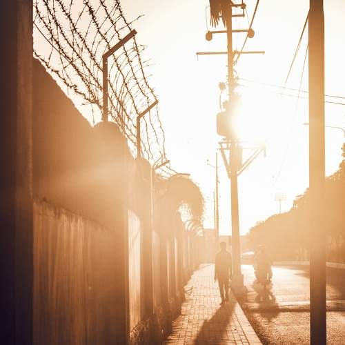 Photo #6244852