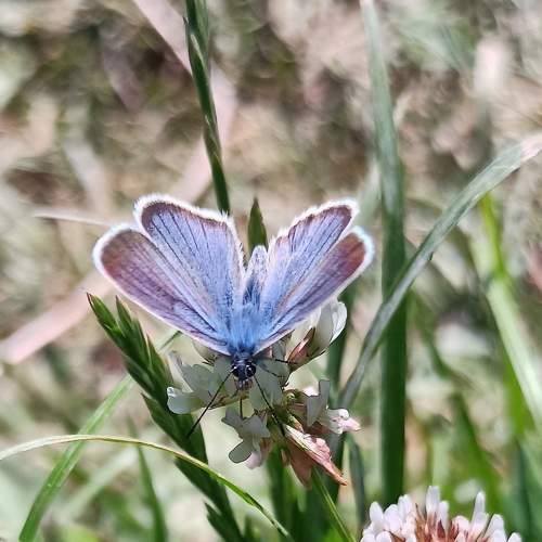 Photo #6244917