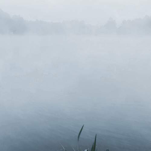 Photo #6244987