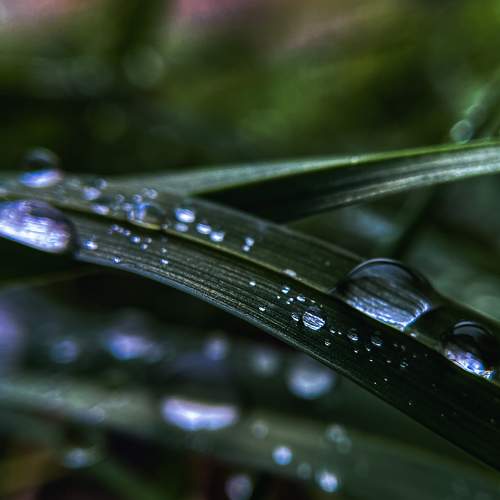 Photo #6244989