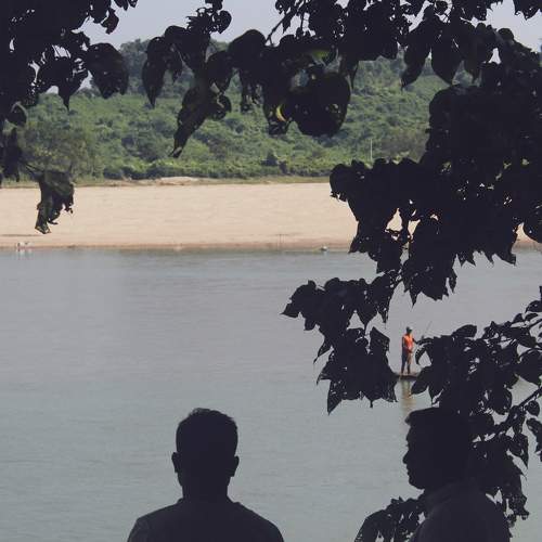 Photo #6245050