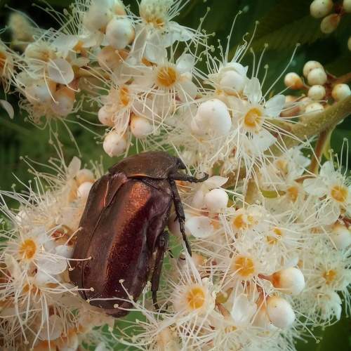 Photo #6245541