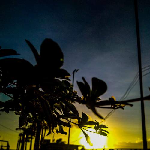 Photo #6245565