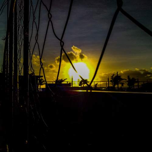 Photo #6245596