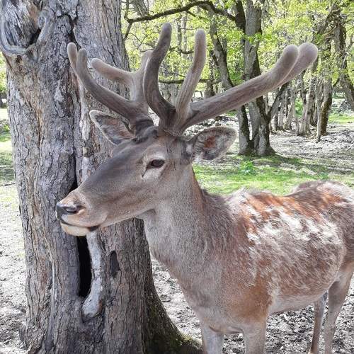 Photo #6245760