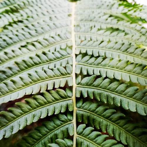 Photo #6245947