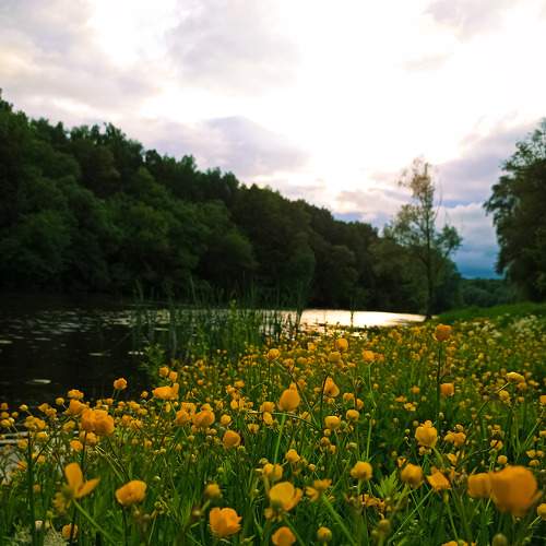 Photo #6246117