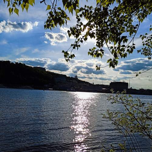 Photo #6246126