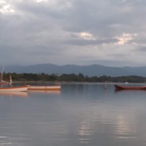 Photo #6246234
