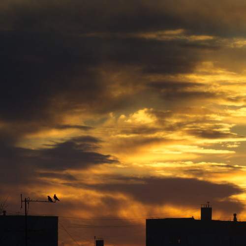 Photo #6246391