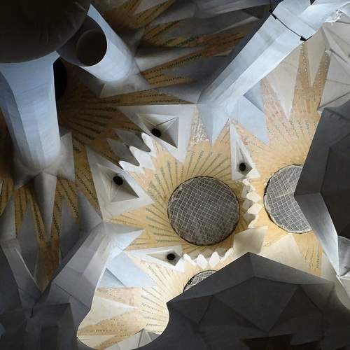 Photo #6246420