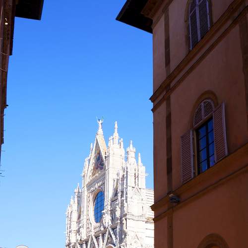 Photo #6246971