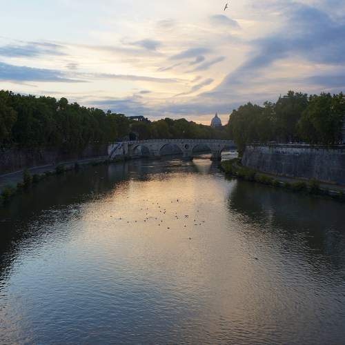 Photo #6247001