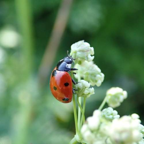 Photo #6247145