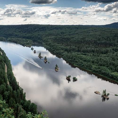 Photo #6247355