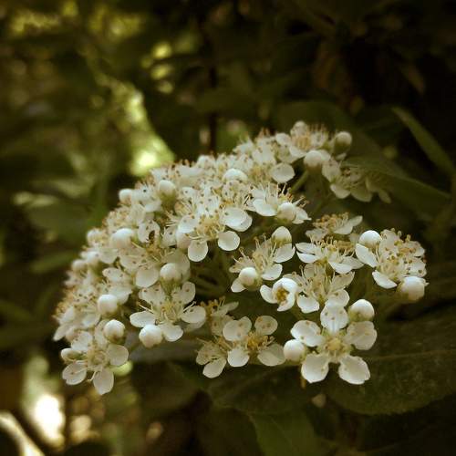 Photo #6247556