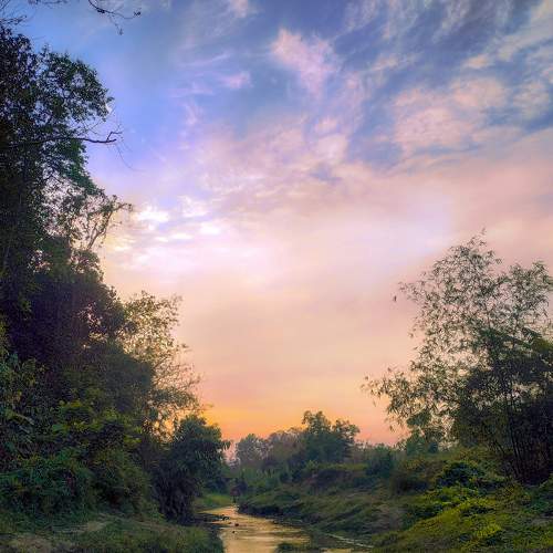 Photo #6247567