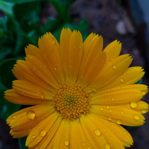 Photo #6247569