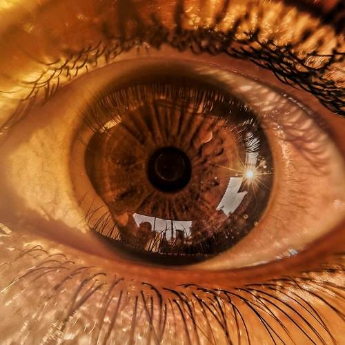 Photo #6248083
